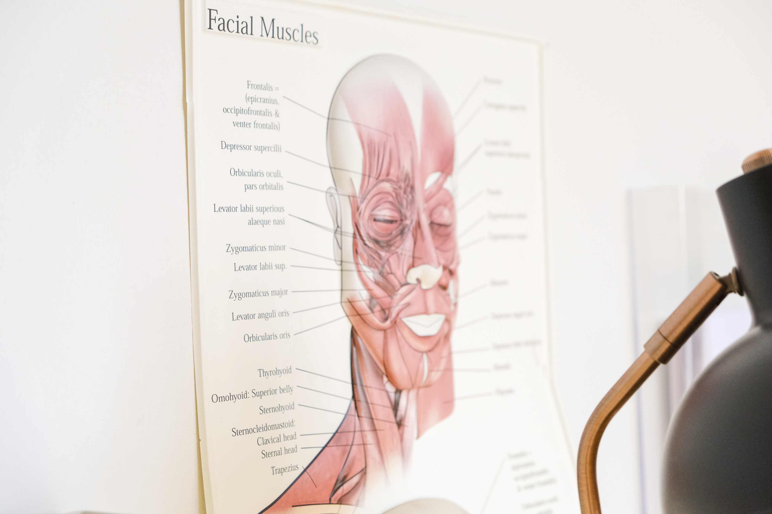 Speciallægehuset 33