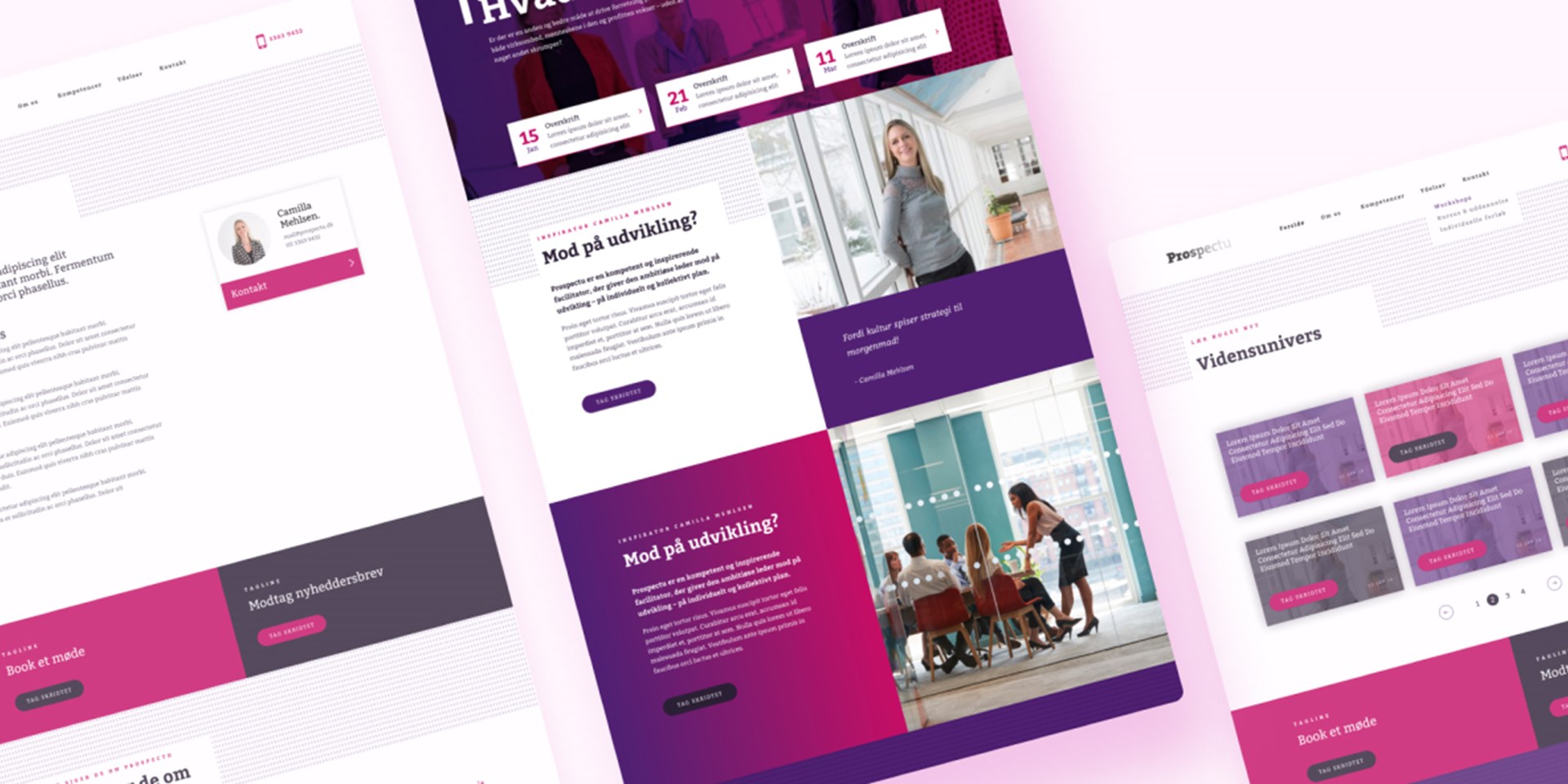 Prospectu Case Image